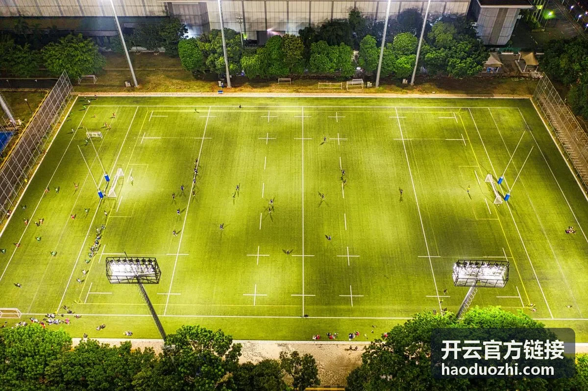 开云官方链接核对结果记录与复查方法示意图